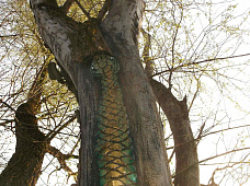 Делаем открытия вместе!