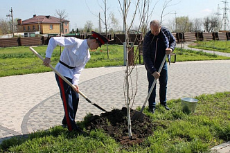 На Дону завершили весенние Дни древонасаждения