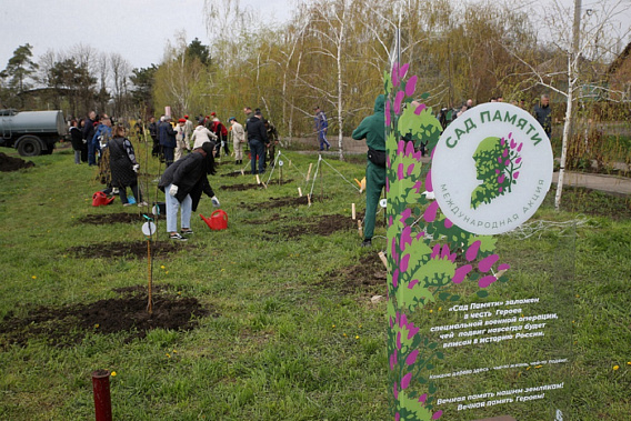 На снимке: День древонасаждений и акция «Сад памяти» в селе Самарское, Азовского района. Источник фото: пресс-служба губернатора Ростовской области.