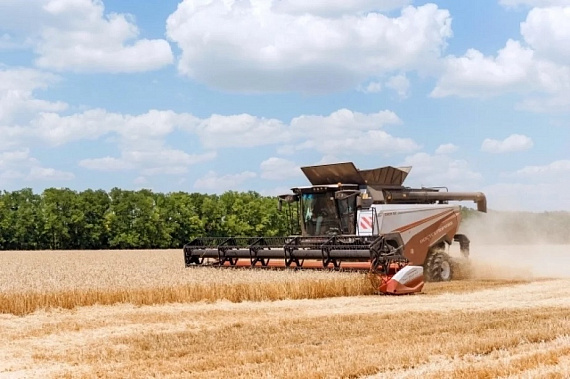 Источник фото: 