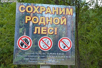 Выделены дополнительные средства на защиту донского лесного фонда от пожаров