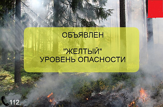 На фоне грянувшей июльской жары на Дону сегодня объявлен желтый уровень пожароопасности