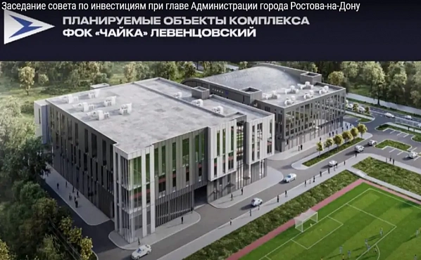 Эскиз спорткомплекса в Северном жилмассиве Ростова. Источник фото: Скриншот онлайн-трансляции заседания Совета по инвестициям Ростова.