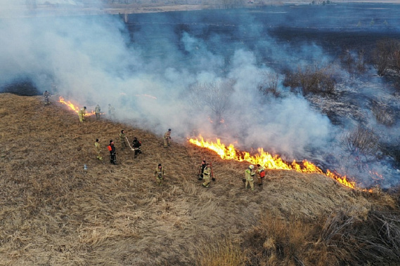 Огненное дыхание. С начала года на Дону число ландшафтных пожаров выросло уже в пять с половиной раз