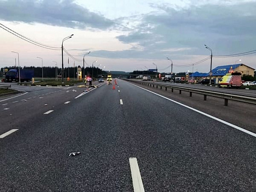 В Аксайском районе москвич насмерть сбил шахтинку