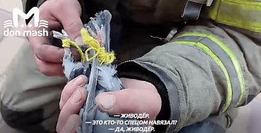 В Ростове-на-Дону сотрудники МЧС спасли привязанного к крыше голубя