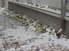 Что видим? Нечто странное