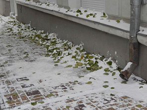 Что видим? Нечто странное