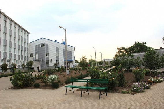 Количество зараженных коронавирусом в Сальском психоневрологическом интернате приближается к 270 случаям