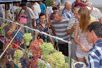 Виноград