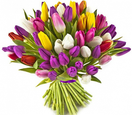 Тюльпаны - «заграничным» россиянкам