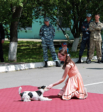 «Спляши-ка, Рексик!»