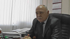 Посадить не дерево, но лес