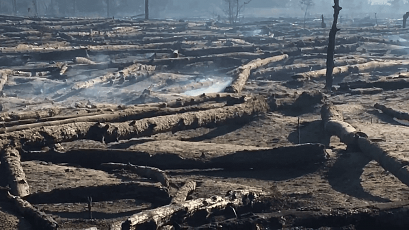 Крупный ландшафтный пожар в Каменском районе локализовали