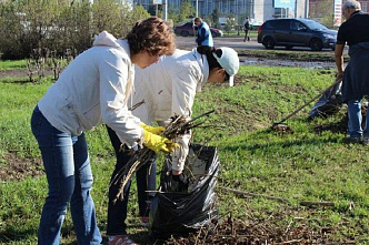 В Ростове продолжается месячник чистоты
