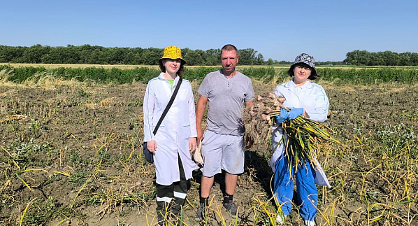 Провели апробацию посевов сельскохозяйственных растений
