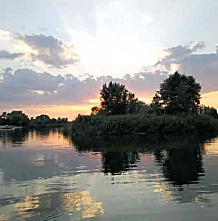 Красота на Дону