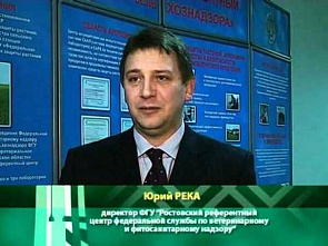 Директора Ростовского референтного центра Россельхознадзора за два уголовных дела оштрафовали