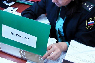 Аксайские приставы взыскали алименты для жительницы ДНР