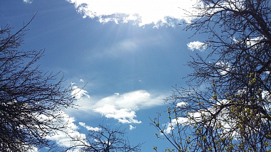 Погода на неделю