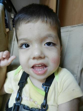 Льву нужна мама