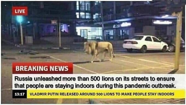 В Твиттере стала набирать популярность фотография льва на улице города в ЮАР с подписью: российские власти решили загнать жителей на карантин по домам, выпустив на улицы 500 львов