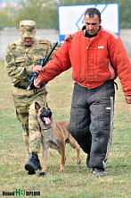 Собаки свое дело знают