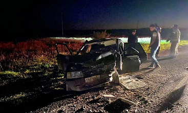 Под Волгодонском водитель пожалел собаку и отправил в больницу двух человек