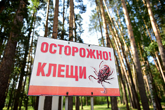 На территории Ростовской области продолжают распространяться клещевые инфекции