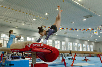 В донской столице проходит чемпионат ЮФО – СКФО по спортивной гимнастике