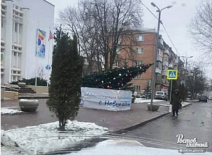 Ростовские елки продолжают падать
