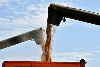 На полях Ростовской области идет уборка зерновых