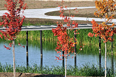 Строительство на левом берегу Дона нарушает законы природы