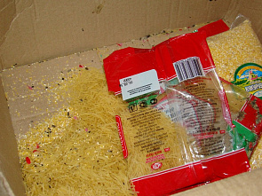 В тихой заводи