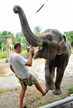 Завтрак в Ростовском зоопарке