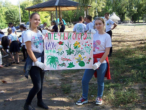 Огород, да не тот