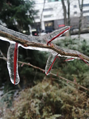 «Россети Юг» восстановили электроснабжение большей части потребителей Аксая