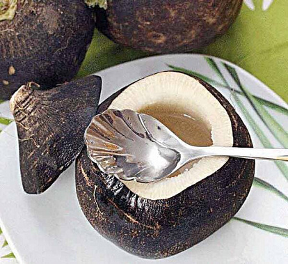 Осенний хит: антибиотики, подаренные природой