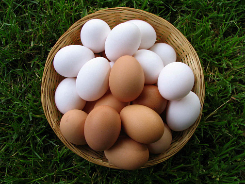 День яйца. Дончане могут его праздновать с полным правом