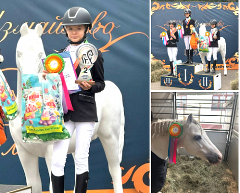 Юная дончанка Ксения Орехова блеснула в Москве на Всероссийских пони-играх