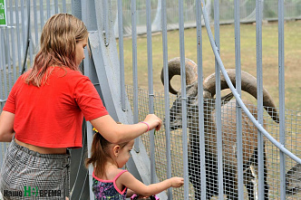 Как зоопарк Ростова пережил пандемию