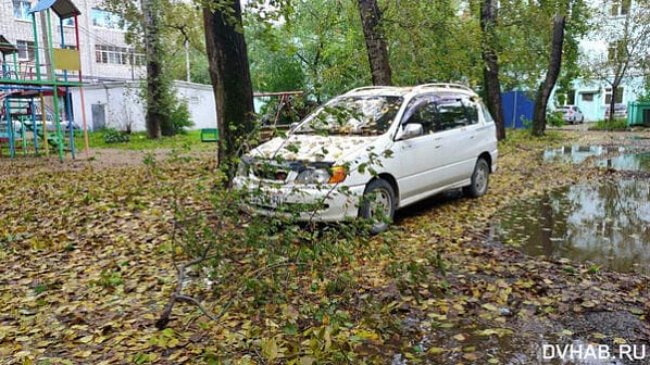 Фото для иллюстрации с сайта dvnovosti.ru.