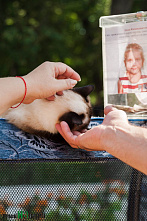 Вы помогли, спасибо!