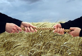 Конфликтующие в Ремонтненском районе фермеры отправлены под административный арест
