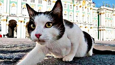 Что можно отметить в этот день