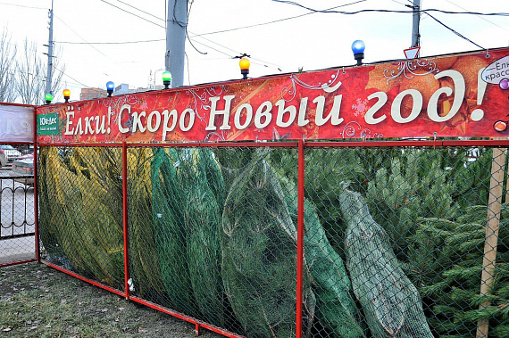 Новый год настает, покупайте, люди, елки!