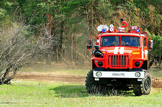 В области готовятся к лесным пожарам