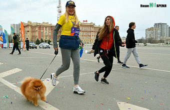 По главной улице с пробегом или, как стать властелином «Ростовского кольца»