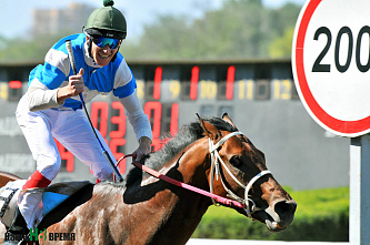 В Ростове прошли скачки на Кубок губернатора Ростовской области