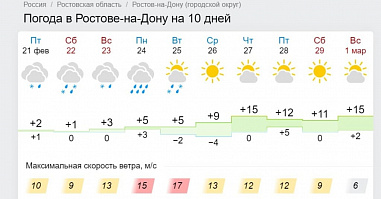 Сильный ветер, мокрый снег и +15: для более точных прогнозов погоды в Ростове построят метеостанцию